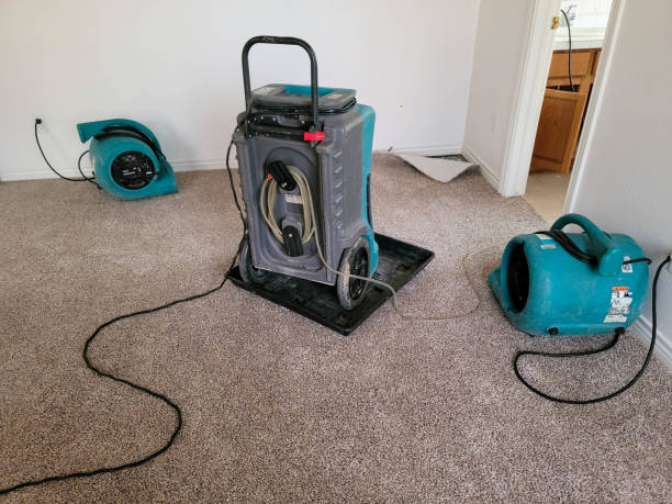 Best Water damage restoration near me  in Irvington, KY
