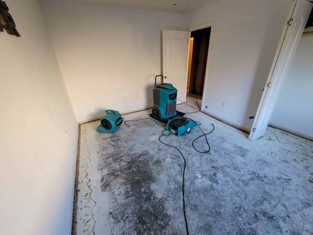 Best Water damage restoration specialists  in Irvington, KY
