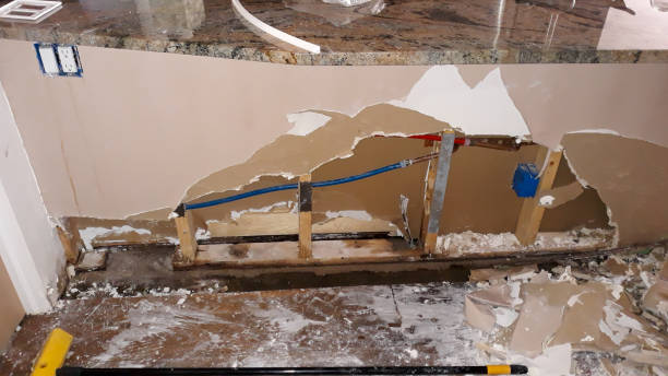 Best Water damage cleanup near me  in Irvington, KY