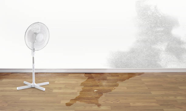 Best Flooded house restoration  in Irvington, KY